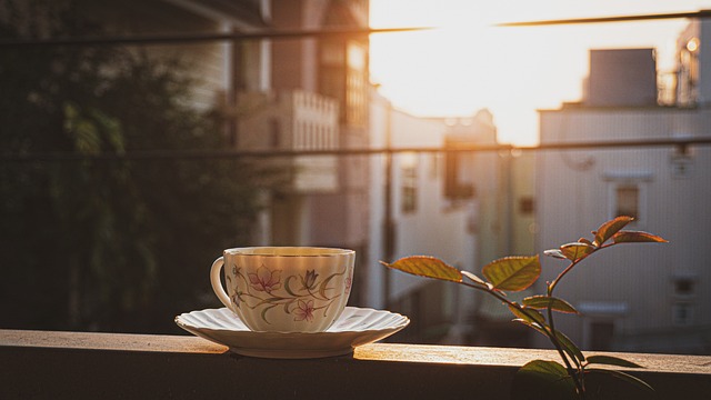 コーヒーカップ 朝 建物