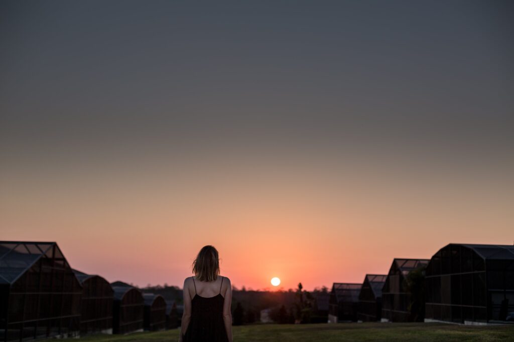 女性　夕日　屋外